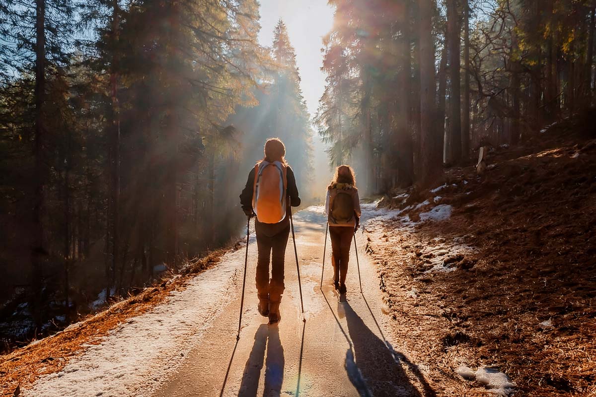 Nordic Walking TV Holz